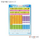 アルファベット ローマ字下敷き 学習下敷きシリーズ B5判 共栄プラスチック 67-NO8300-B5-2 【ネコポス可】