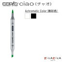 COPIC ciao/コピックチャオ 単品 Achromatic Color(無彩色) TOO 855-コピツクチヤオ 【ネコポス可】 エントリーモデル デザイン イラスト まんが 絵画 教材 アルコール染料インク ツインニブ 丸形ボディ ニブ交換可 インク補充可