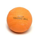 ナイガイ トレーニングソフトボール(3号サイズ)1球 300g オレンジ トレーニング用 ピッチング用