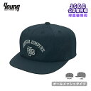 【在庫限り】【JSBB公認】ヤング 野球審判帽子 (球塁審兼用) 7683 紺 オールメッシュ 八方型 審判用品 young ネイビー