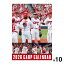 広島東洋カープ 2026 壁掛けカレンダー 【10本セット】【送料無料】A2サイズ 【10/28〜順次発送】