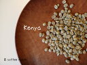 【コーヒー生豆】ケニア　AA　＜内容量＞200g