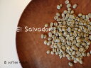 【コーヒー生豆】エルサルバドル　マラカラ農園　ブルボン　＜内容量＞50g