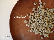 【コーヒー生豆】ザンビアテラノバ農園＜内容量＞５０ｇ