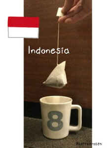 【三角　テトラパック　コーヒー】【送料無料　インドネシア　マンデリン　G-1　＜内容量＞10g×120パック　（30パック　X　4袋）