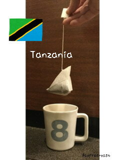 【三角　テトラパック　コーヒー】【送料無料】　タンザニア　AA　＜内容量＞10g×90パック　（30パック　X　3袋）
