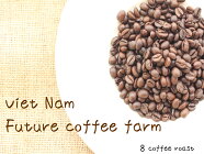 【コーヒー焙煎豆】＜内容量＞８０ｇベトナムFuturecoffeefarm×8coffeeロブスタFull−Washed高品質