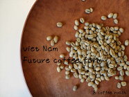 【コーヒー生豆】ベトナムFINEROBUSTA(ファインロブスタ)Robusta-Peaberry＜内容量＞５０ｇFuturecoffeefarm×8coffee