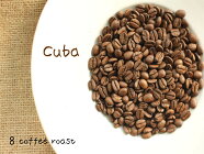 【コーヒー生豆】パナマ＜内容量＞５０ｇ