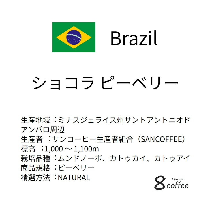 メール便対応【コーヒー生豆】ブラジル ショコラ...の紹介画像2
