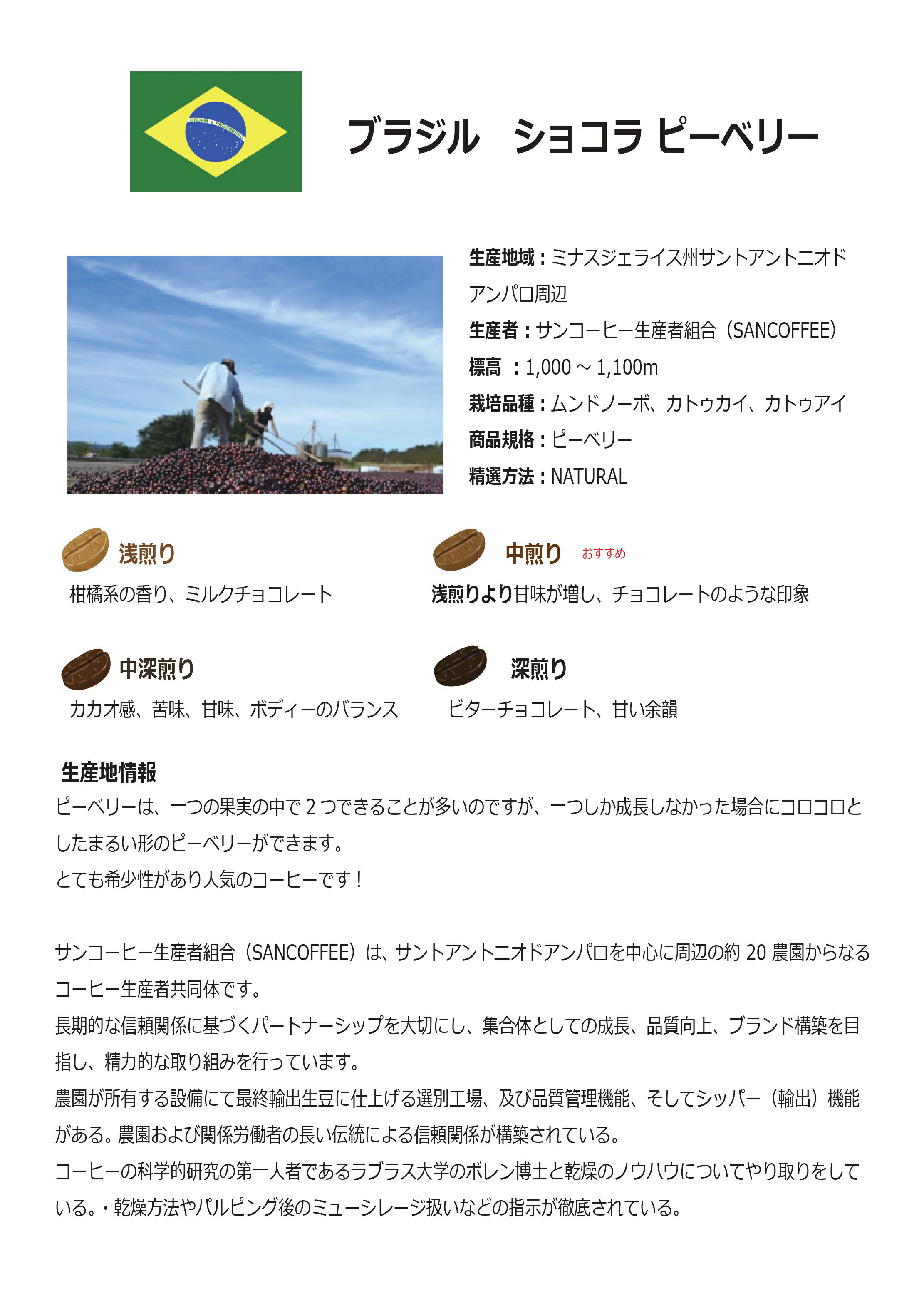 �᡼�����б��ڥ����ҡ���Ʀ�ۥ֥饸�롡���祳��ԡ��٥꡼���������̡�50g��700g�������� ����������