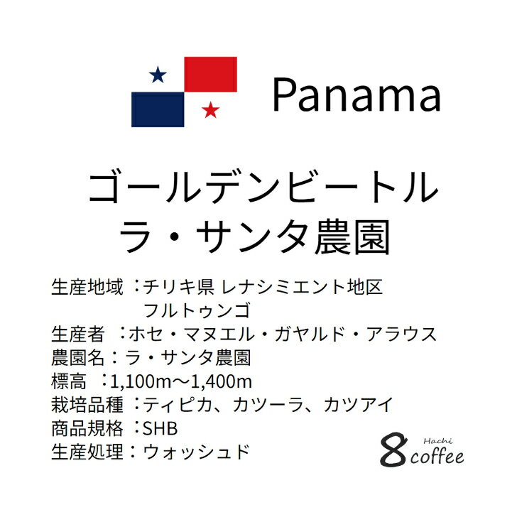 メール便対応【コーヒー生豆】パナマ ゴールデン...の紹介画像2
