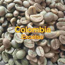 メール便対応 コーヒー生豆 コロンビア エクセルソ <内容量>50g~700g 家庭用 自家焙煎用(4)