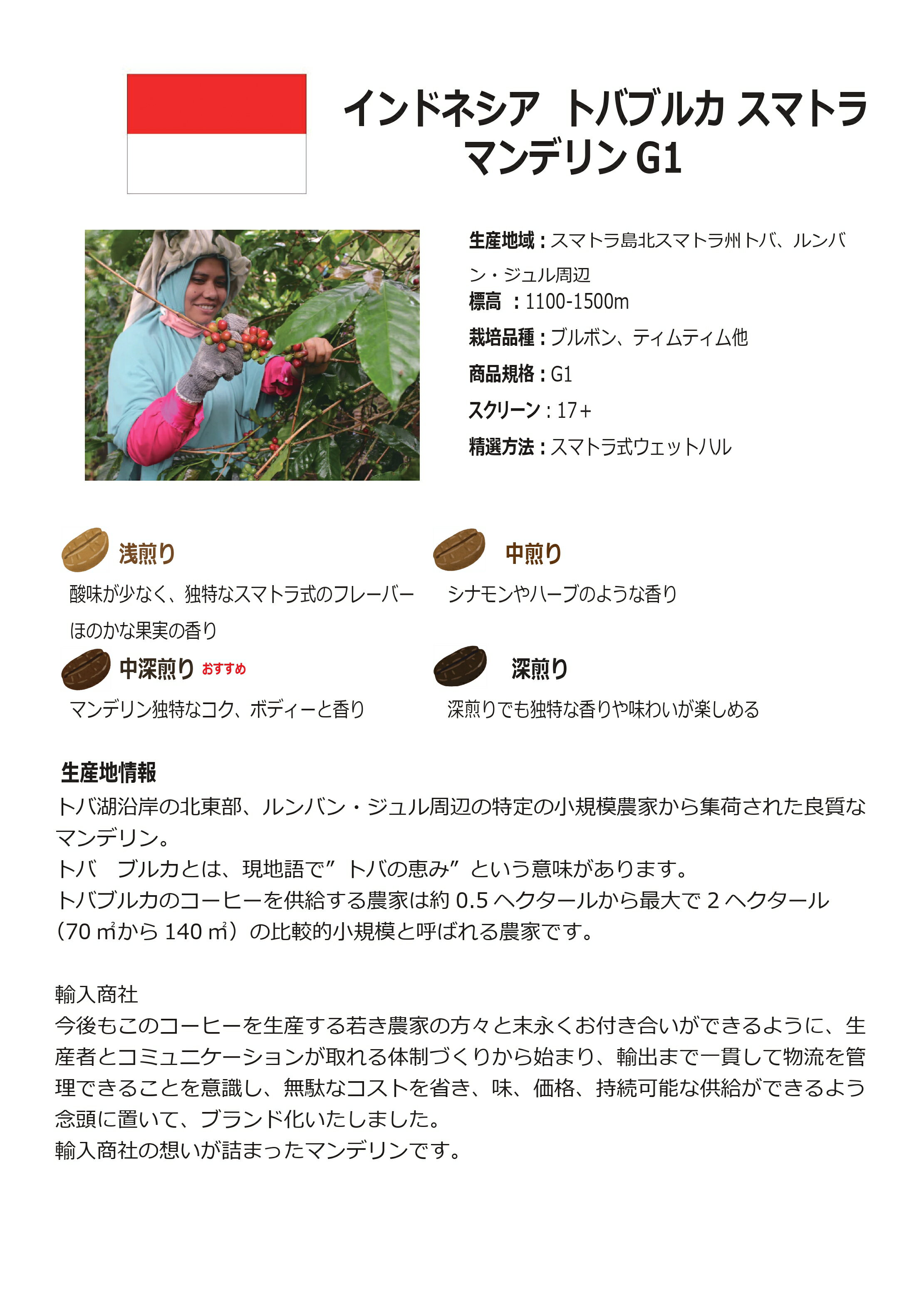 �᡼�����б��ڥ����ҡ���Ʀ�ۥ���ɥͥ������ȥХ֥륫 ���ޥȥ� �ޥ�ǥ��G1���������̡�50g��700g�������� ����������