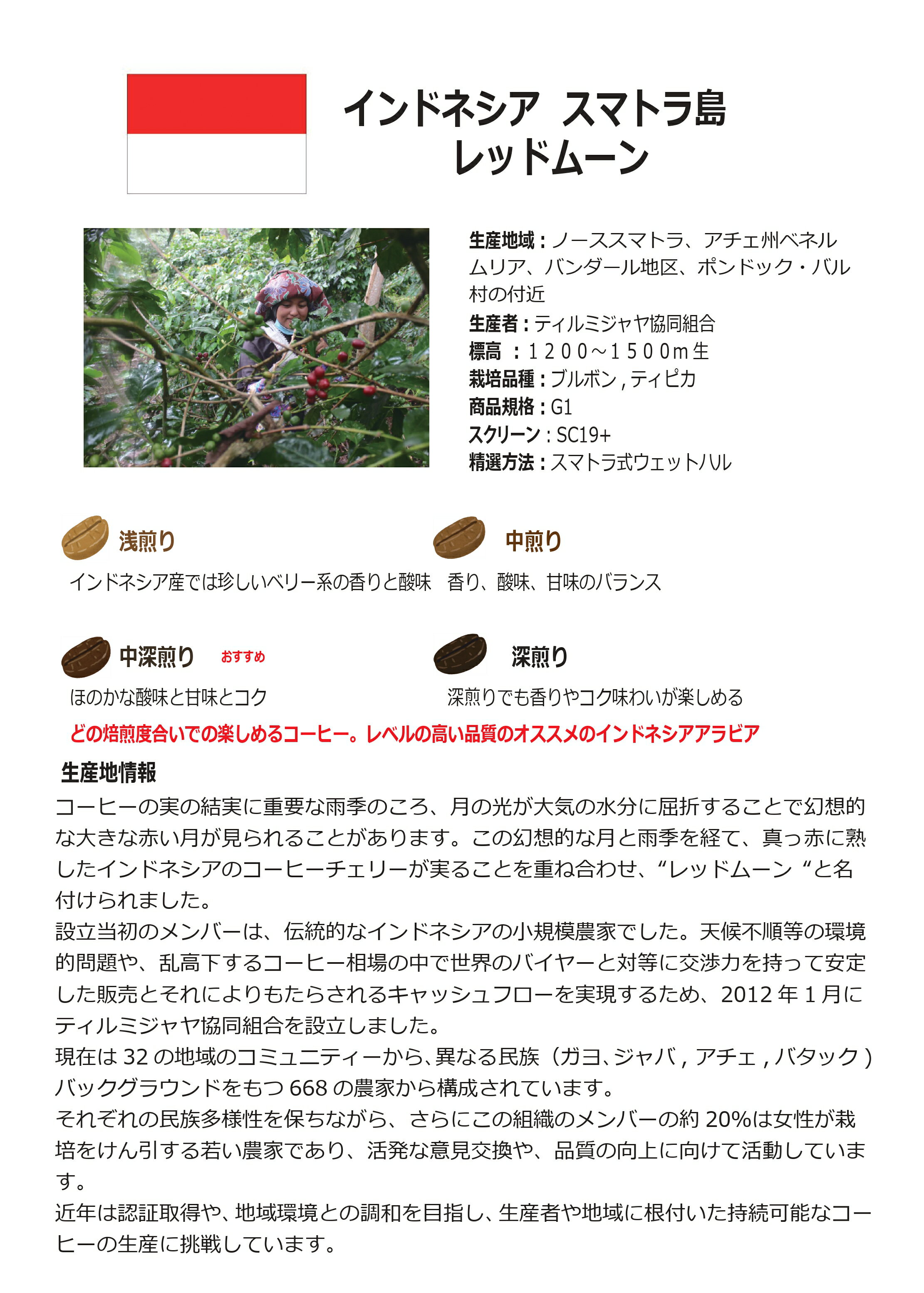 �᡼�����б��ڥ����ҡ���Ʀ�ۥ���ɥͥ��������ޥȥ��硡��åɥࡼ�󡡡������̡�50g��700g�������� ����������