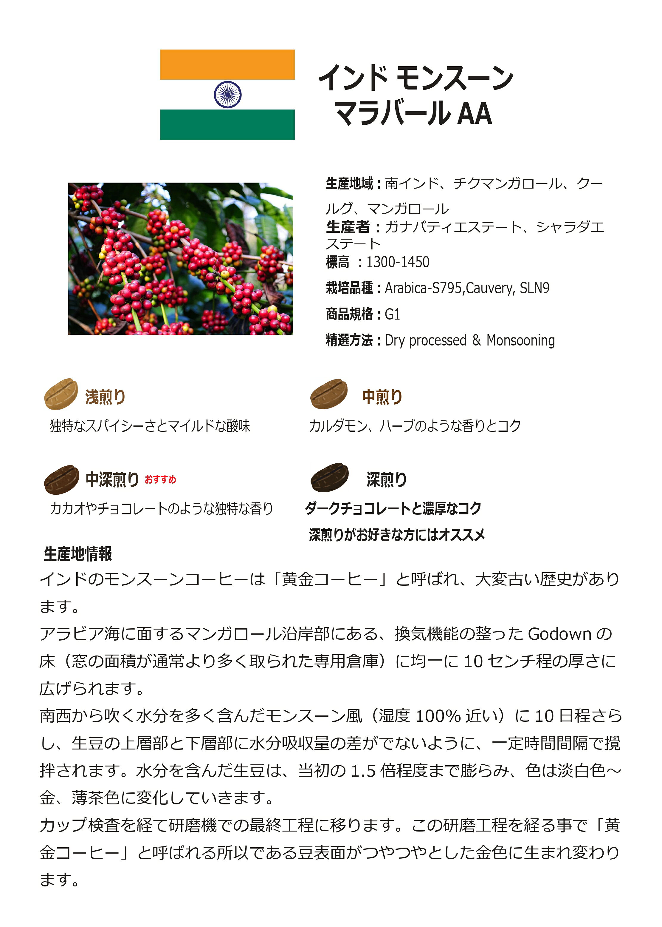 �᡼�����б��ڥ����ҡ���Ʀ�ۥ���ɡ� ��󥹡��󡡥ޥ�С���AA���������̡�50g��700g�������� ����������