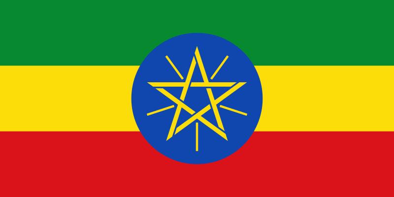 �᡼�����б��ڥ����ҡ���Ʀ�ۥ������ԥ��� ������ G4 ���륬��� ����ɥ饤���������̡�50g��700g�������� ����������