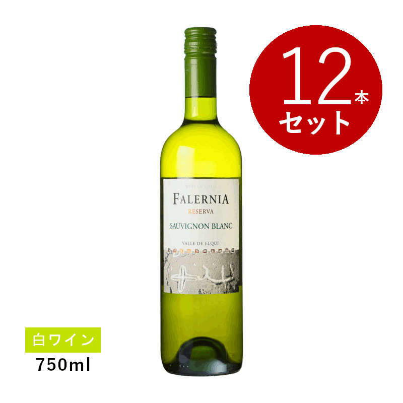 ビーニャ ファレルニア ソーヴィニヨン ブラン レセルバ(白ワイン) 12本セット