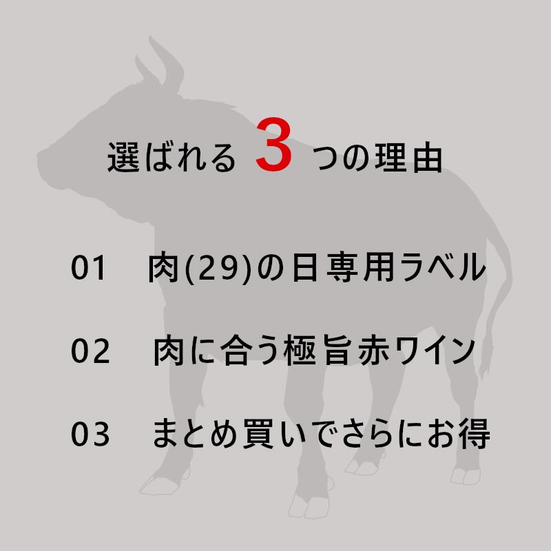 ＼本日購入＆レビューでもれなくクーポンGET！／焼肉 専用 ワイン 赤 カベルネソーヴィニヨン カリフォルニア 2017 750ml まとめ買い プレゼント 誕生日 記念日 周年 開業 開店 創立 賞品 贈答 29日 お返し 挨拶 結婚 還暦 転職 粗品 コンペ 定年 業務用 飲食店 法人 専用 2