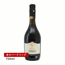 【1万円以上で送料無料】【通常商品】カビッキオーリ ランブルスコ ロッソ ソルバーラ セッコ(スパークリング)