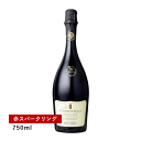 【1万円以上で送料無料】【通常商品】コンチェルト ランブルスコ レッジアーノ セッコ(スパークリング)