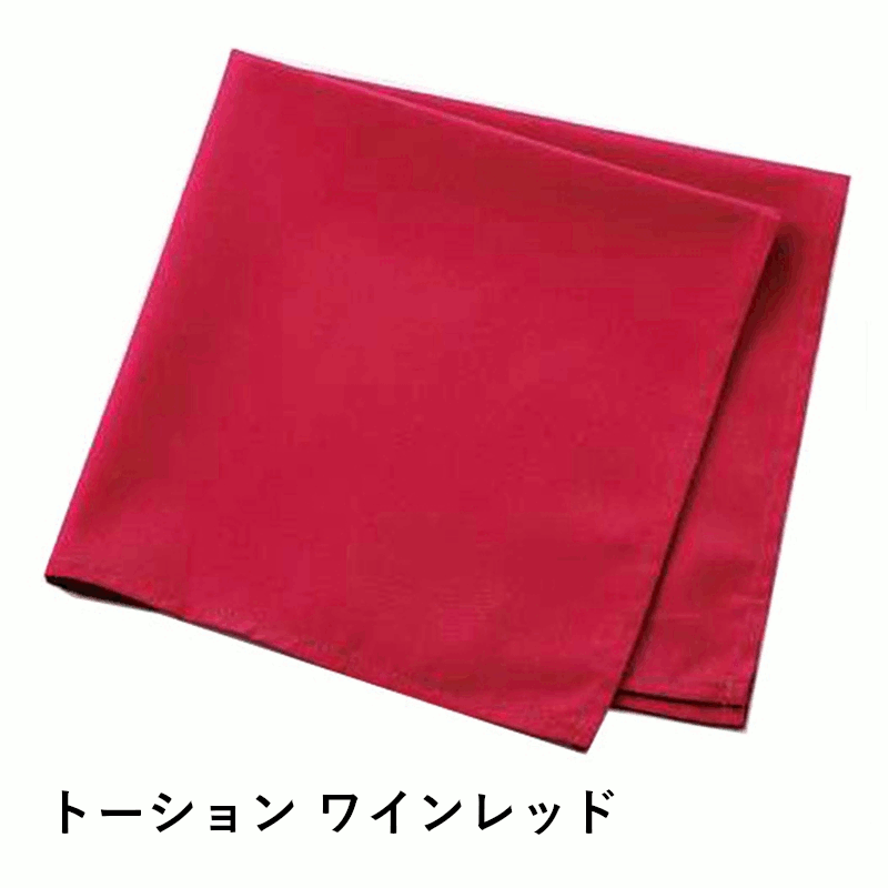 ＼本日購入＆レビューでもれなくク