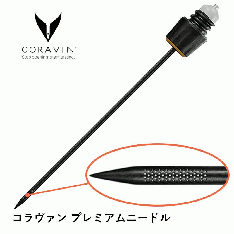 ＼本日購入＆レビューでもれなくク