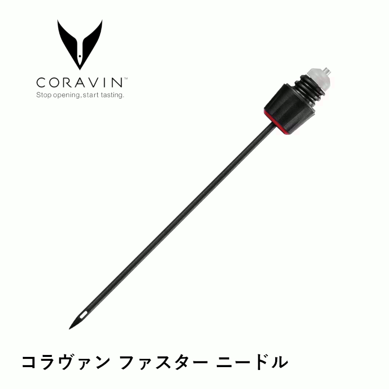 ＼本日購入＆レビューでもれなくク