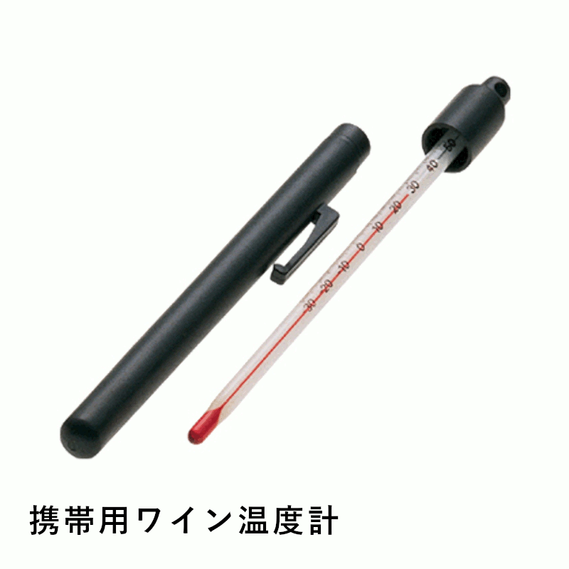 ＼本日購入＆レビューでもれなくク