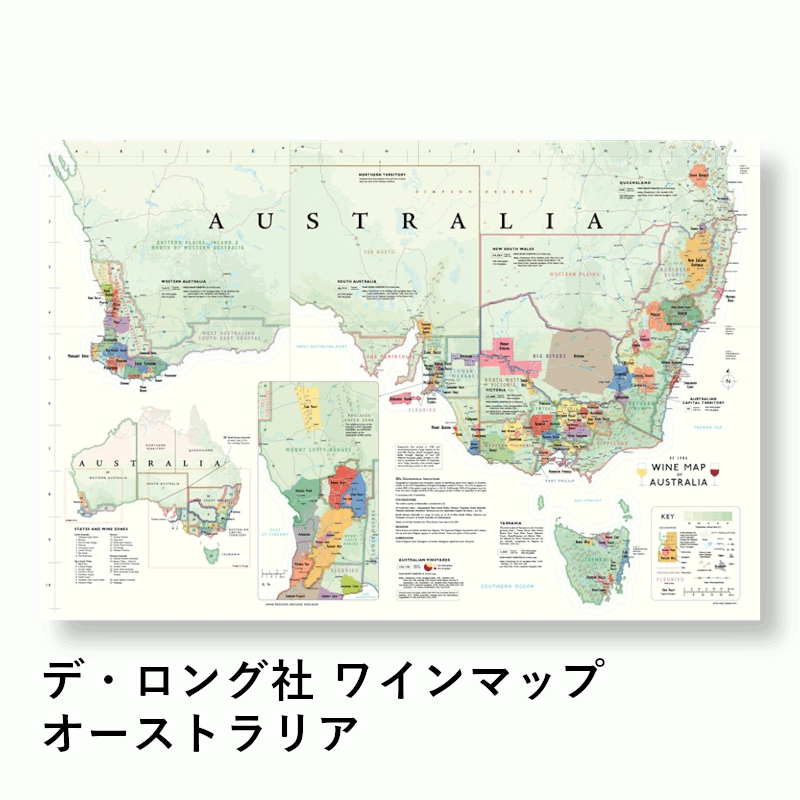 ＼本日購入＆レビューでもれなくク