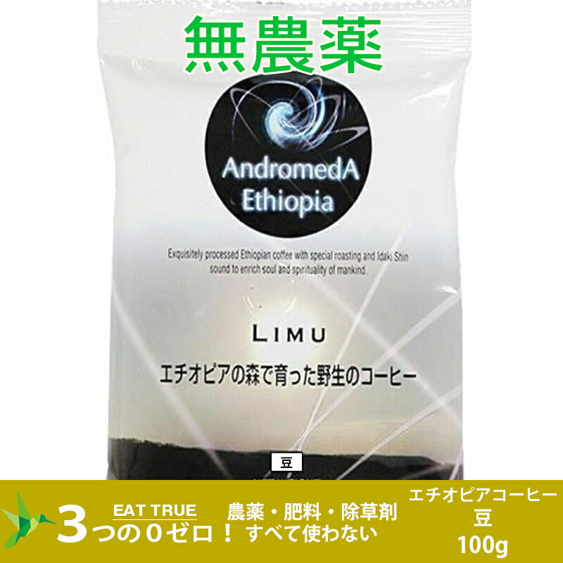 エチオピアの森で育った野生のコーヒー「リム(豆)【100g】～フルーティーな酸味、ワインのような風味】 3980円以上送料無料 無農薬 無肥料 無除草剤