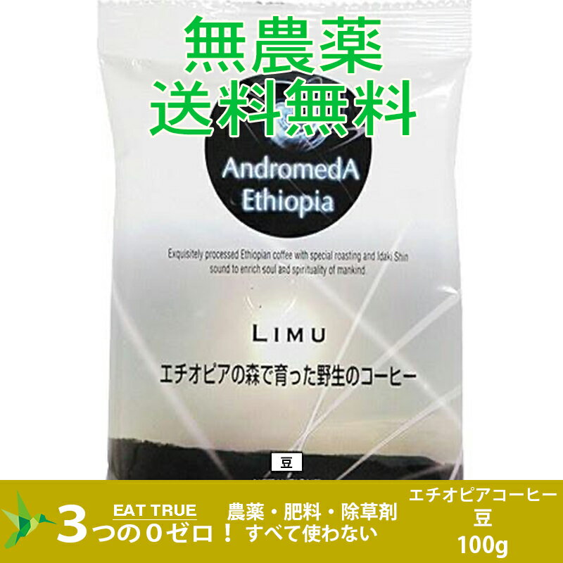 【 1000円 ポッキリ 】エチオピアの森で育った野生のコーヒー「リム(豆)【100g】～フルーティーな酸味、ワインのような風味】 送料無料 無農薬 無肥料 無除草剤　送料無料 クリックポスト 1