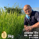 新米 令和5年 無農薬 米 自然栽培 阿部 ササシグレ 玄米 3kg 新米 令和5年 産 自然農法 ささしぐれ 無農薬米 一等 一等米 岩手県 産 送料無料 農薬不使用