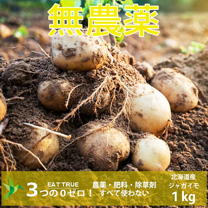 農薬ゼロ 肥料ゼロ 自然栽培のじゃがいも【 1kg 】北海道産 ジャガイモ 農薬不使用 肥料不使用 除草剤不使用 自然栽培