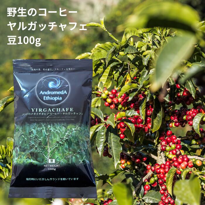 楽天ロジ便 エチオピア の森で育った 野生のコーヒー「ヤルガッチャフェ(豆)【100g】〜花のような香りが活きてる 〜花のような香りが活きてる 送料無料 無農薬 無肥料 無除草剤 コーヒー 珈琲 coffee マラソン 買い回り ポイント消化 楽天ロジ