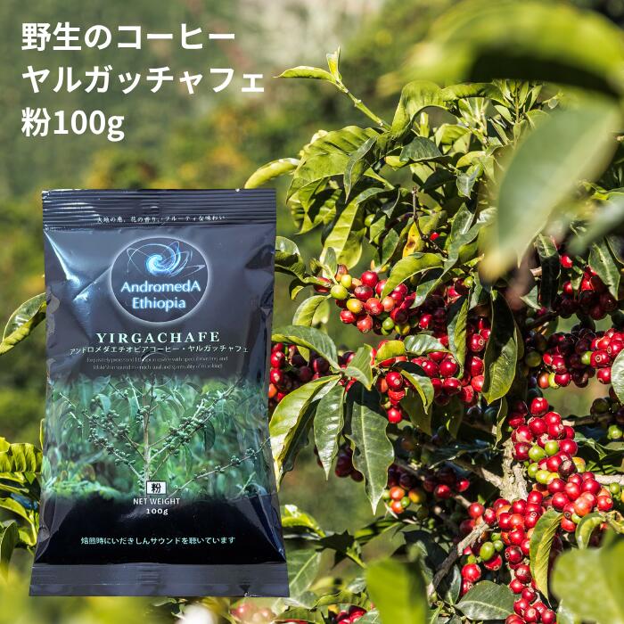 楽天ロジ便 エチオピアの森で育った野生のコーヒー「ヤルガッチャフェ(粉)【100g】〜花のような香りが活きてる 〜花のような香りが活きてる 送料無料 無農薬 無肥料 無除草剤 エチオピア 野生のコーヒー コーヒー 珈琲 coffee 楽天ロジ