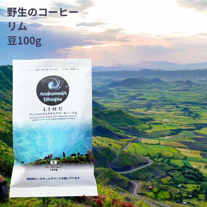 楽天ロジ便 エチオピアの森で育った野生のコーヒー「リム(豆)【100g】〜フルーティーな酸味、ワインのような風味】 送料無料 無農薬 無肥料 無除草剤　送料無料 楽天ロジ