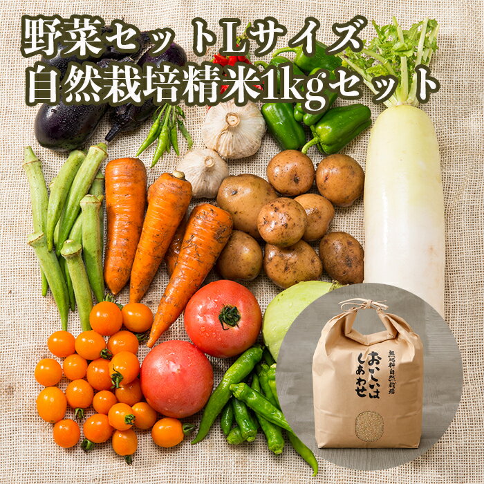 自然栽培 メインの 無農薬 「野菜セット Lサイズ+自然栽培　精米1kgセット」 毎週（火木金）出荷 無肥..