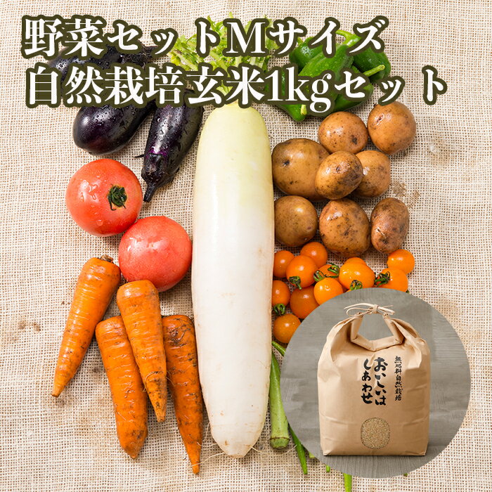 自然栽培 メインの 無農薬 「野菜セット Mサイズ+自然栽培　玄米1kgセット」 毎週（火木金）出荷 無肥..