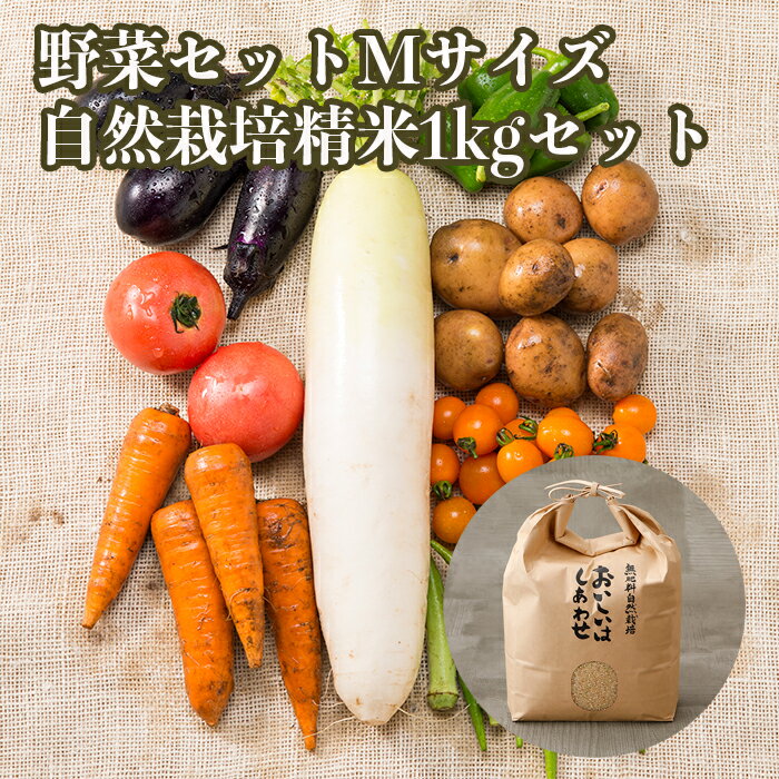 自然栽培 メインの 無農薬 「野菜セット Mサイズ+自然栽培　精米1kgセット」 毎週（火木金）出荷 無肥..