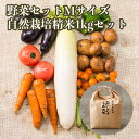 自然栽培 メインの 無農薬 「野菜セット Mサイズ 自然栽培 精米1kgセット」 毎週（火木金）出荷 無肥料 オーガニック おまかせ 野菜セット野菜 お取り寄せ 自然農法 旬 野菜BOX 新鮮 食材 人気のセット 化学肥料 農薬不使用