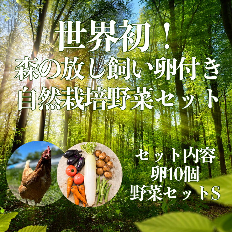 世界初 森の放し飼い卵付き 自然栽培 野菜 セットS サイズ 卵10個 + 野菜セット　 （1人暮らし1週間相当量想定）　定期便　お試し　バージョン