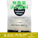 【 1000円 ポッキリ 】エチオピアの森で育った野生のコーヒー「リム(粉)【100g】～フルーティーな酸味、ワインのような風味】 送料無料 無農薬 無肥料 無除草剤　送料無料 クリックポスト