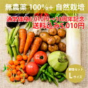 【10周年記念1000円割引中】全品無農薬 自然栽培 メインの 野菜セット Lサイズ 「 旬の野菜セット 」 毎週…