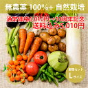 【10周年記念1000円割引中】全品無農薬 自然栽培 メインの 野菜セット Lサイズ 「 旬の野菜セット 」 毎週（火木金）出荷 無農薬 野菜セット 無肥料 オーガニック おまかせ　野菜セット野菜　お取り寄せ 送料無料　自然農法 旬　野菜BOX　新鮮 食材 化学肥料 農薬不使用