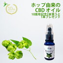 【10周年記念2本買うと1本プレゼント開催中】ホップ由来 の CBD オイル Mental oil メンタルオイル 28g×2本セット(CBD600mg) CBD by Hop マルチCBD オイル シービーディー カンナビノイド カンナビジオール アメリカで植物特許取得! 麻ヘンプCBD(カンナビジオール)