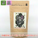 楽天ロジ便 ムクナ豆 無農薬 天然 L-DOPA 肥料 0ゼロ 「 自然栽培 ムクナ豆( むくな豆 )の 焙煎 済みパウダー 」【 100g 】 無農薬 無肥料 無除草剤 国産 ( 沖縄産 )ムクナ豆 国産 100g×1袋 ムクナ むくな 八升豆 むくな豆 送料無料 ドーパミン L-ドーパ