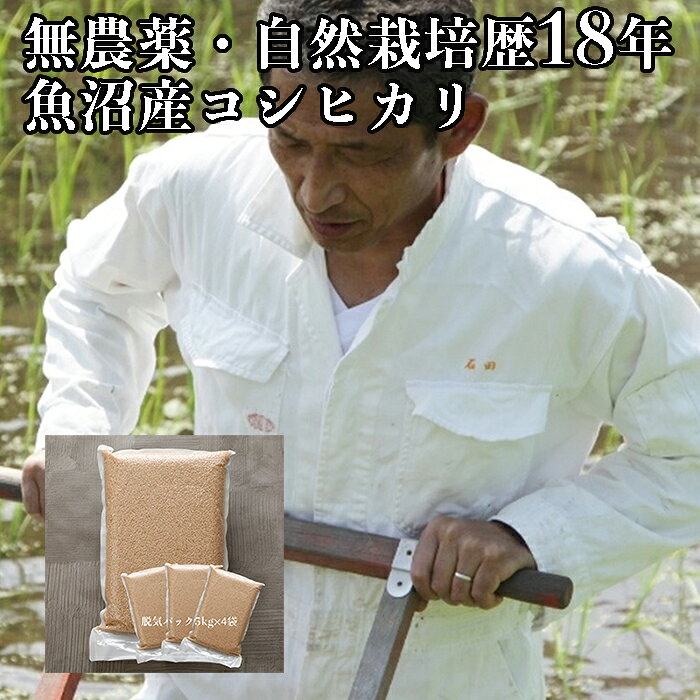 【新米 予約 石田 魚沼産 コシヒカリ 玄米 20kg】 備蓄米 令和7年 産 自然農法 こしひかり 無農薬米 一等 一等米 新潟県 産 送料無料 脱気フレッシュパック入り (@5kg×4袋) 農薬不使用のサムネイル