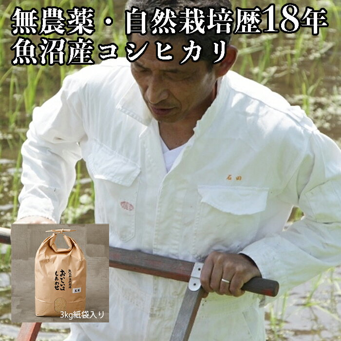 【新米 石田 魚沼産 コシヒカリ 玄米 3kg】令和7年 無農薬 米 自然栽培 令和7年 産 自然農法 こしひかり 無農薬米 一等 一等米 新潟県 産 送料無料 農薬不使用