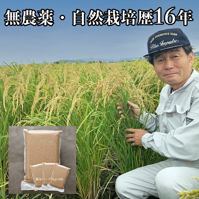 【スーパーSALE 10%OFF】【 新米 太田 ササシグレ 玄米 20kg】令和7年 無農薬 米 自然栽培 令和7年 産 自然農法 ささしぐれ 無農薬米 宮城県 産 送料無料 脱気フレッシュパック入り (@5kg×4袋) 農薬不使用